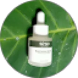 Review From Seso Official