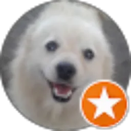 Review From komang yudhi