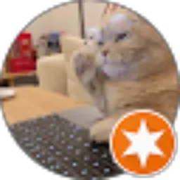 Review From Kucing Oren