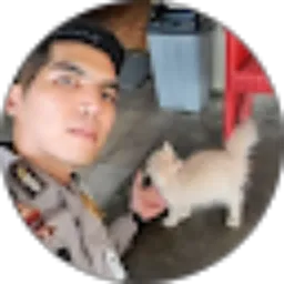 Review From Aldo Lubis