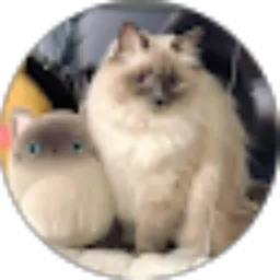 Review From 36. Wulan Nurul Fatika