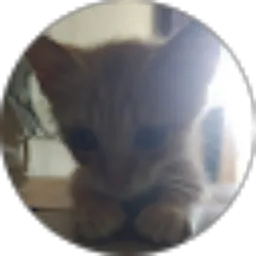 Review From yayang lodaya