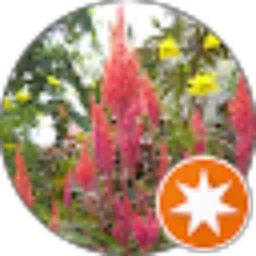 Review From Thiwy Prathywy.Anlov29