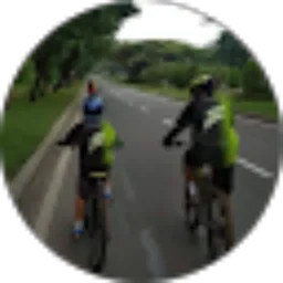 Review From Mariska Han