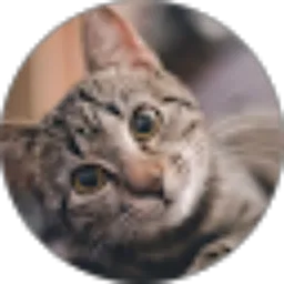 Review From Chaidir Chaliq