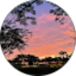 Review From Santi Winata