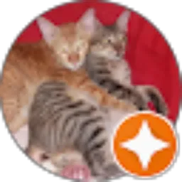 Review From Ris Walama