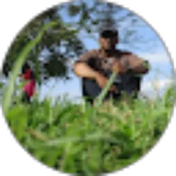 Review From andika tri udayana