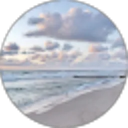 Review From Evin Nuri Yafi