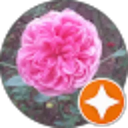 Review From Valen St