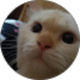 Review From Mutmainnah