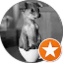 Review From Nathanael Sianturi