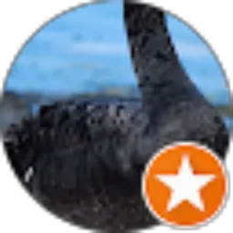 Review From abhi dmc