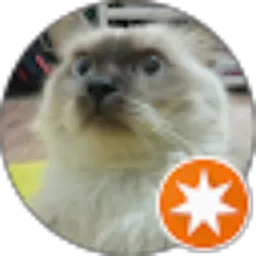 Review From Ari Nugroho