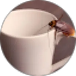 Review From Wedari Ririri