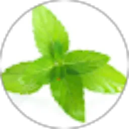 Review From Ferdian Wirawansa