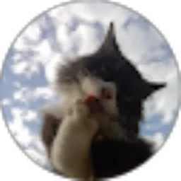 Review From chairunnisa mulyadi