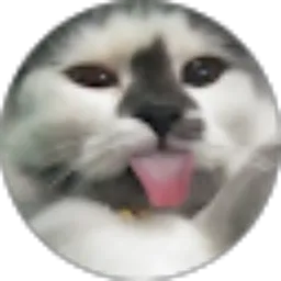 Review From Yusril Rayadi