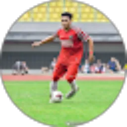 Review From Fajar Saputro