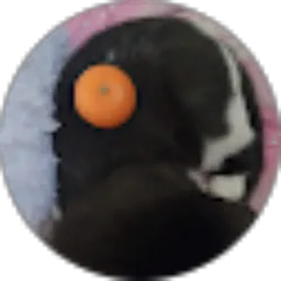 Review From Nariswari M