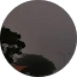 Review From Muslim yoman