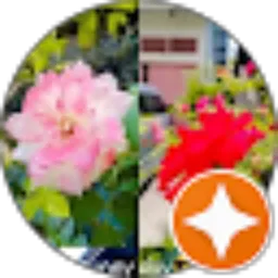 Review From Zulfajra Zulfajra