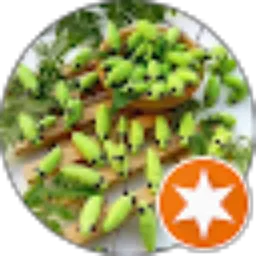 Review From raisul annadif