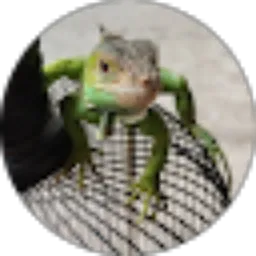 Review From Wayan Suardana