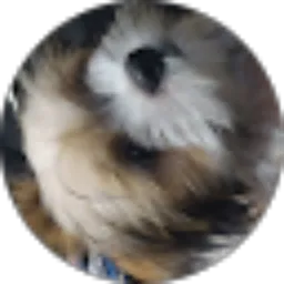 Review From Crystal OFSick