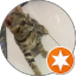 Review From ayu novianda