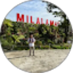 Review From Robby Manalu