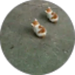 Review From Ichs Ant