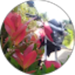 Review From Mega Motovlog