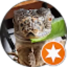 Review From Tabi Garasu