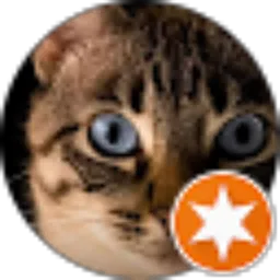 Review From Lulus Prasetyo