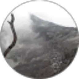 Review From Quest 9dark