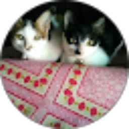 Review From Junita Huang