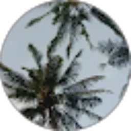 Review From Gusti Ayu Devi Anjani Putri