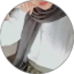 Review From Agnis wp