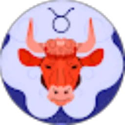 Review From Andi Wandi