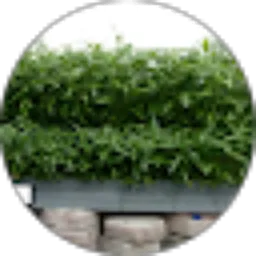 Review From Rofi Hiden