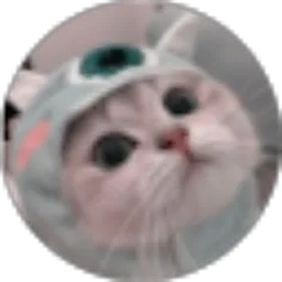 Review From William Dirjaya