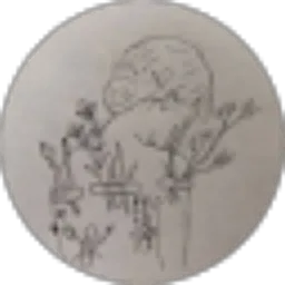 Review From Rahma Shila