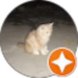 Review From masih pemula channel