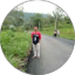 Review From Dimas Darmawan