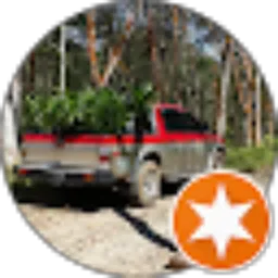 Review From Robin sp