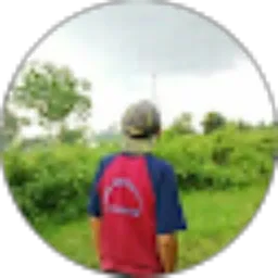 Review From Sandi Gunawan