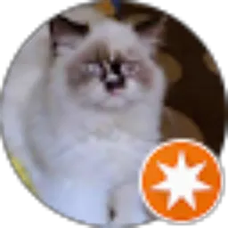 Review From Novi Rahmawati