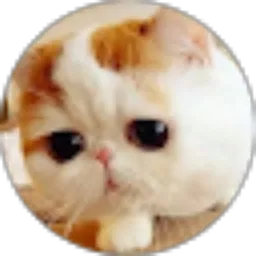 Review From Adhe Sepria Afifah