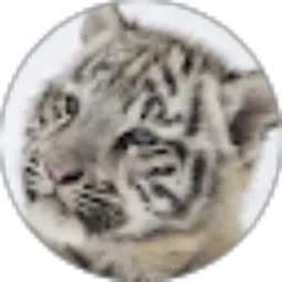 Review From Hendra Jr